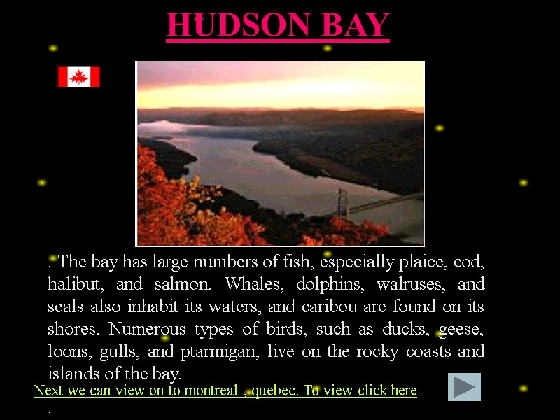 . The bay has large numbers of fish, especially plaice, cod, halibut, and salmon.